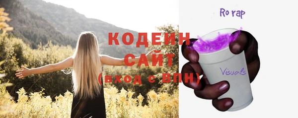не бодяженный Иннополис